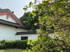 -广东花都湖国家湿地公园