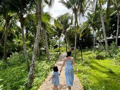 -东寨港红树林旅游区