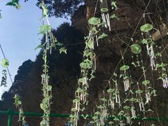 -黑龙潭风景区