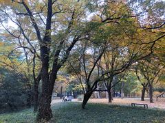 -国家植物园南园