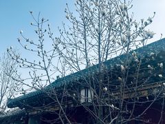 -迎泽公园