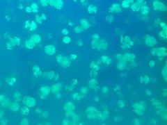 -南昌海洋公园