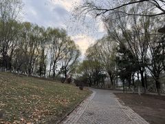 -莫子山公园