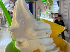-Salud撒露欧洲冻酸奶(北苑上品店)
