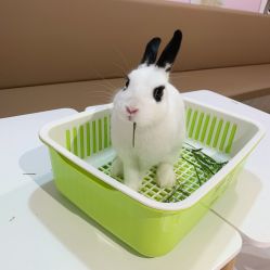 -Moni星球萌宠·小马宝莉·灵蛇·高端高阶全萌宠互动体验俱乐部(红豆国际广场店)