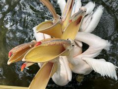 -水上乐园·欢乐世界