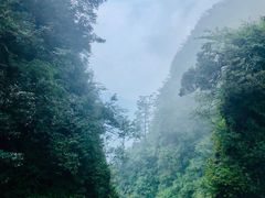 -峨眉山风景名胜区