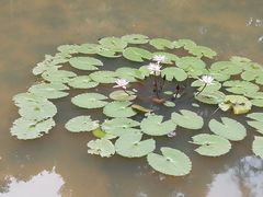 -云溪植物园