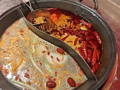 -朱光玉火锅馆(龙阳广场店)