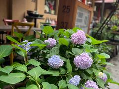 -嘉善老市