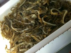 -金鼎雪山牦牛杂火锅(理县总店)