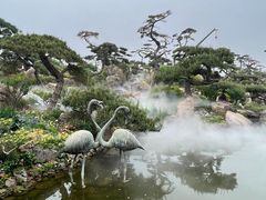 -罗红摄影艺术馆