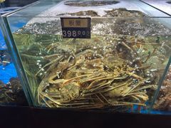 -蟹之国·精品蟹料理(极地店)