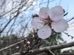 -贡湖湾湿地公园