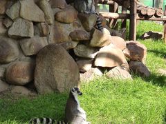 -西安秦岭野生动物园