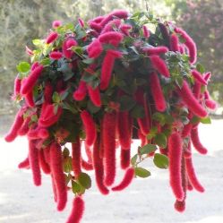 -Oasis Beauty水磨坊科技美肤中心