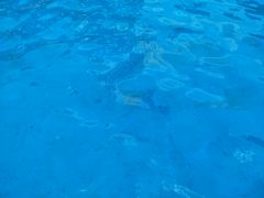 -海盗传奇水世界