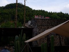 -MOJ coffee(瓯海泽雅水碓坑店)