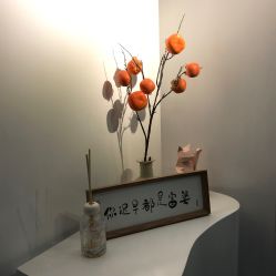 -DELAVAY黛乐薇抗衰中心