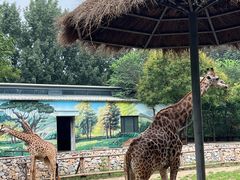 -北京野生动物园