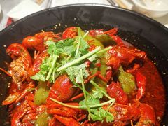 -红辣椒·川菜·火锅(张杨路店)