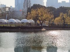 -陆家嘴中心绿地