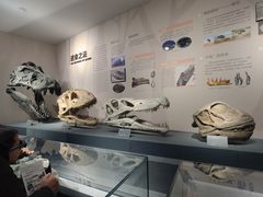 -自贡恐龙博物馆