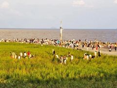 -南汇嘴观海公园