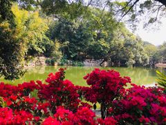 -人民公园(罗湖区)