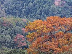-丹霞山风景名胜区