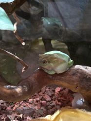 -Zoolung Zoolung动物主题公园(海信广场店)