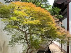 -常熟方塔园