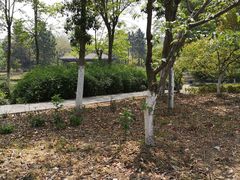 -江南大学(蠡湖校区)