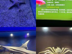 -皇家极地海洋世界-售票处