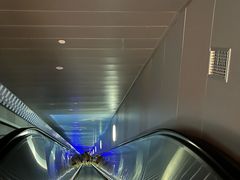-白鹤梁水下博物馆