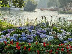 -凌记(泮塘路店)