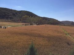 -南泥湾风景区