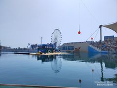 -秦皇岛乐岛海洋王国