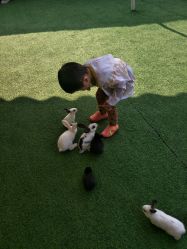 -萌宠亲子动物乐园(槐房万达店)