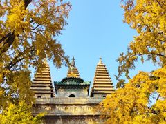 -北京石刻艺术博物馆(五塔寺)