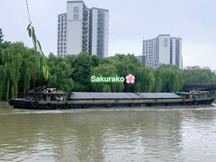 -运河游船(武林门码头)