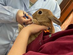 -瑞派·关忠动物医院·异宠专科·犬猫肿瘤·皮肤专科(望京店)