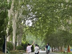 -河南省黄河迎宾馆