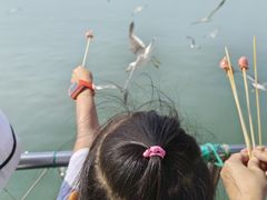 -海驴岛(荣成市)