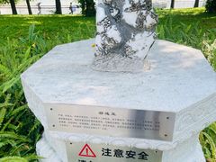 -东莞植物园
