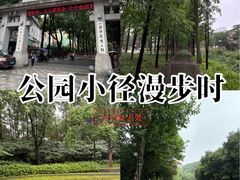 -屈原公园