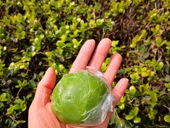 咸蛋黄肉松青团-同济大学本部学苑饮食广场