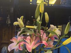 -都氏家DUSJOY(翡翠城店)