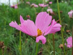 -天津东丽湖风景区