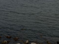 -碧海金沙